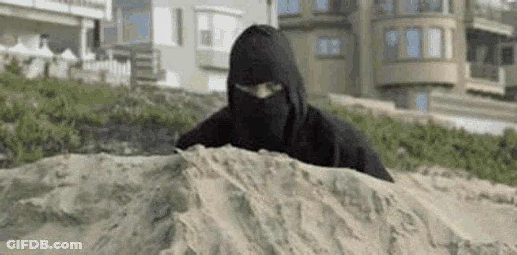 Black Ninja Hiding On The Beach GIF
