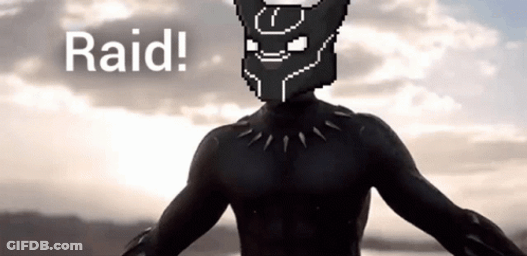 Black Panther Raid GIF