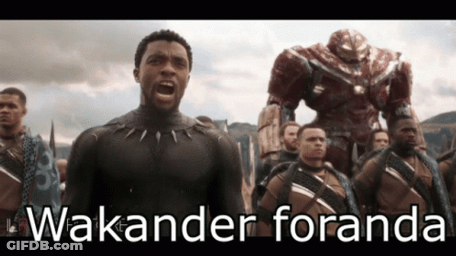 Black Panther Wakanda GIF