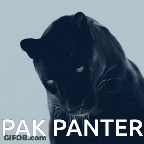 Black Panther With Pak Panther Text GIF