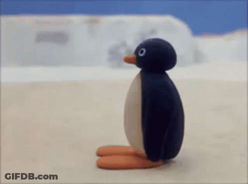 Black Penguin With Red Beak On Beach GIF