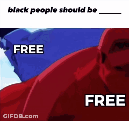 Black People Should Be Free Meme GIF