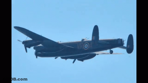 Black Plane With White Circle On Tail Flying In Blue Sky GIF