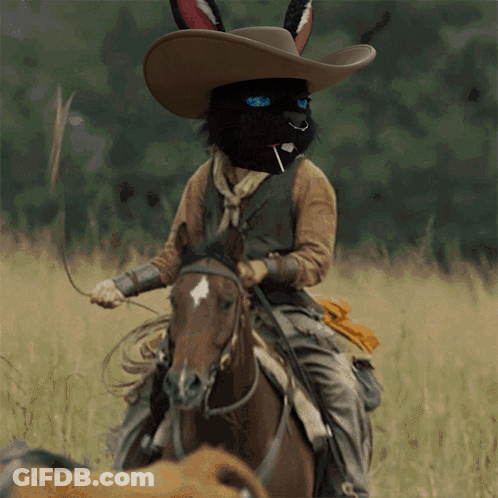 Black Rabbit In Cowboy Hat Rides Horse GIF