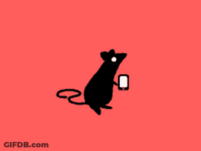 Black Rat Cellphone Chat GIF