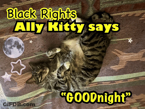 Black Rights Ally Kitty Saying Goodnight GIF