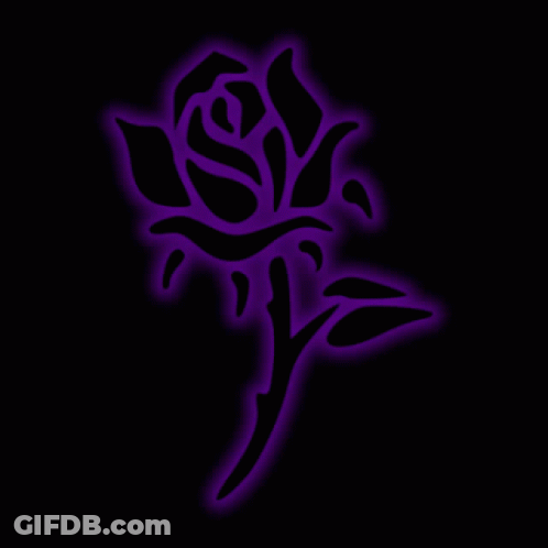 Black Rose With Purple Glowing Petals GIF