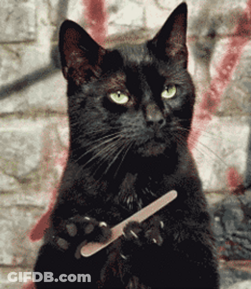 Black Sad Cat Nail Filing GIF