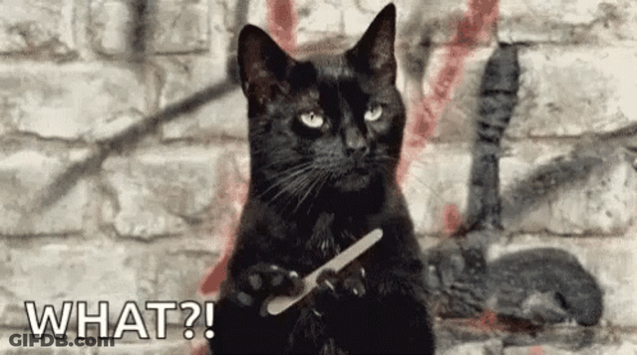 Black Sassy Cat Nail File Asking What GIF