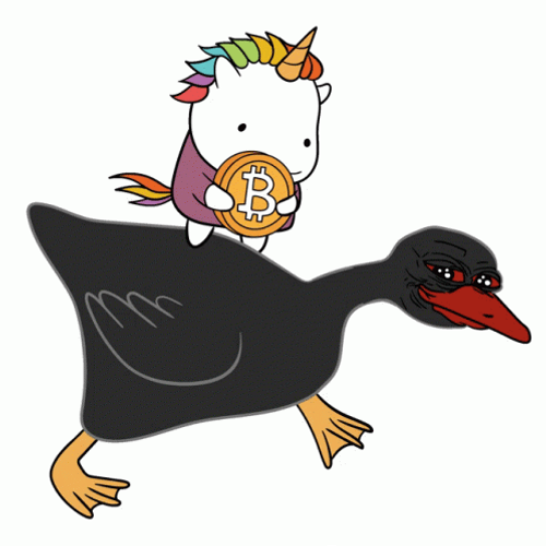 Black Silly Goose Running Fast GIF