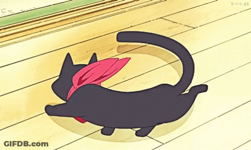 Black Spinning Cat Chasing Tail GIF