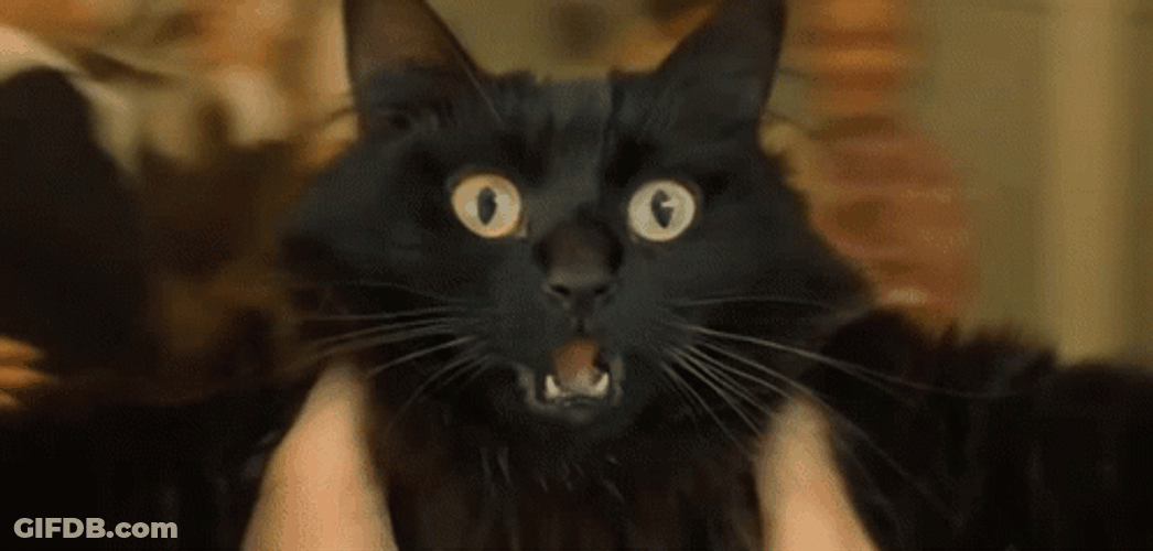 Black Spinning Cat Wide Eyes Open Mouth GIF