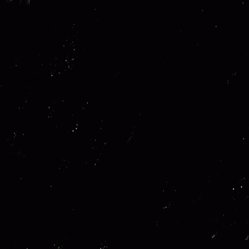 Black Supreme Confirm Ketanji Brown Jackson GIF
