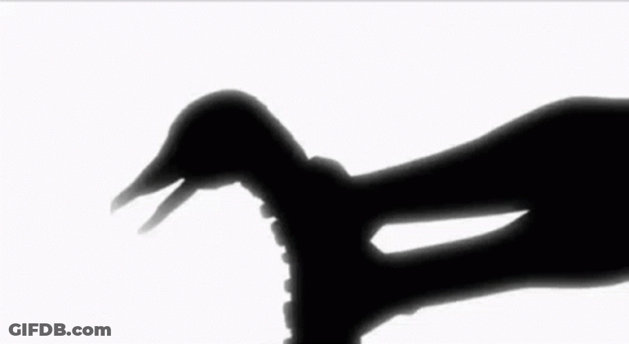 Black Swan Demise GIF