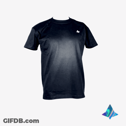 Black T-Shirt With White Triangle GIF