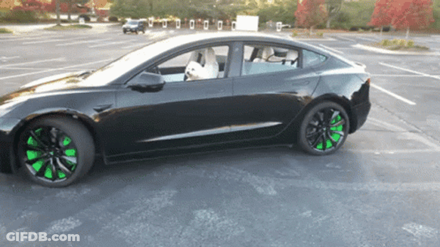 Black Tesla Model 3 In Reverse GIF