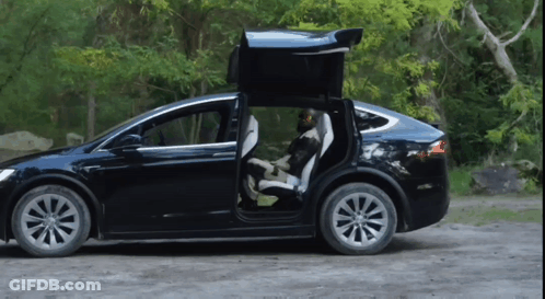 Black Tesla Model X Parked On Dirt Road With Doors Open GIF