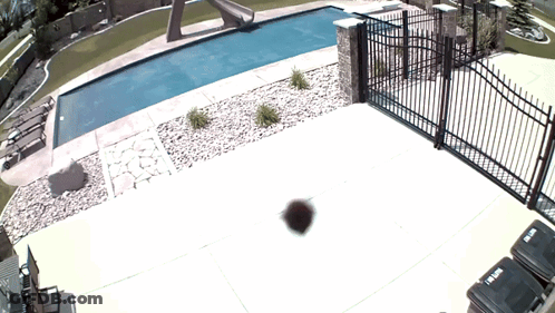 Black Trash Can With Trash Next To Pool GIF