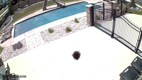 Black Trash Can With Word Trash In Front Of Fence GIF