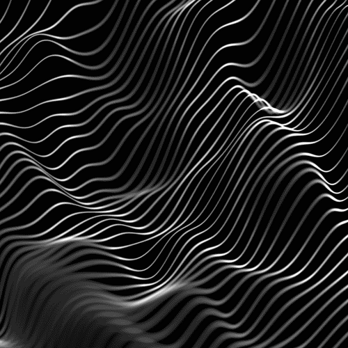 Black White 3D Contour GIF