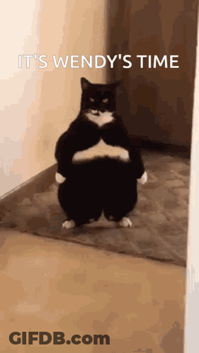 Black White Cat Arms Crossed Says It's Wendy's Time GIF