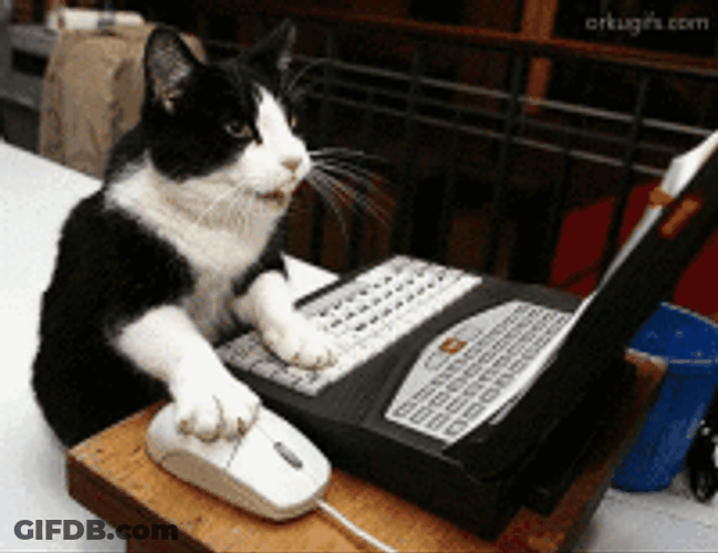 Black White Cat Office Computer GIF