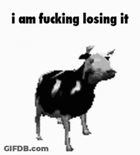Black White Cow I Am Fucking Losing It GIF