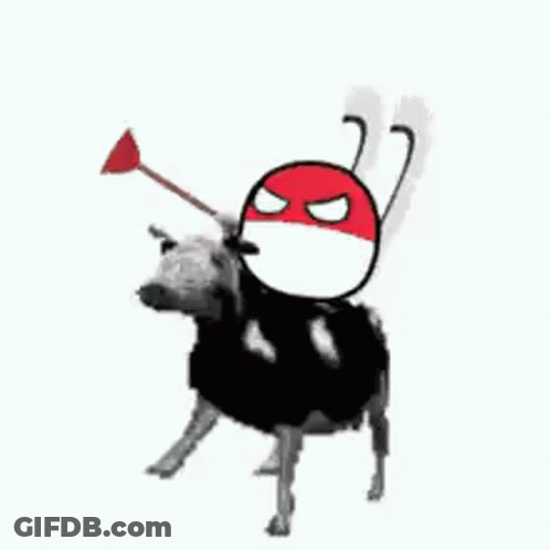 Black White Cow Red White Ball On Back GIF