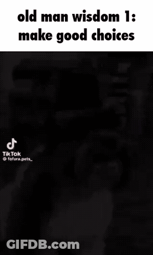 Black White Dog Wisdom 1 Make Good Choices GIF