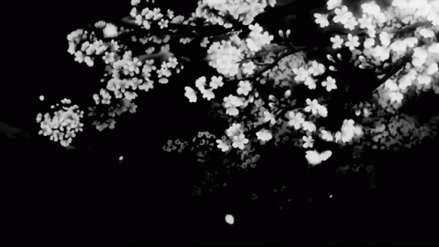 Black White Flowers Fall GIF