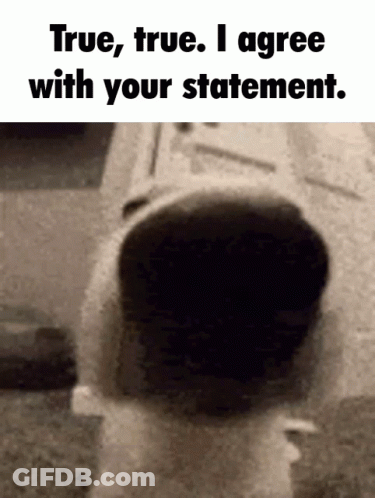 Black White Person True True I Agree Statement GIF