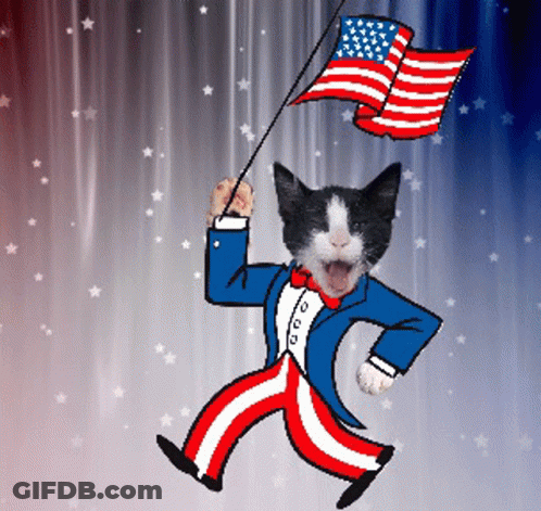 Black White Uncle Sam Cat Holding American Flag GIF