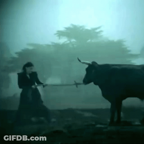 Black Woman Pulling A Bull GIF