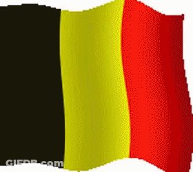 Black Yellow And Red Flag Waving GIF