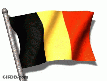 Black Yellow Red Flag Flying GIF