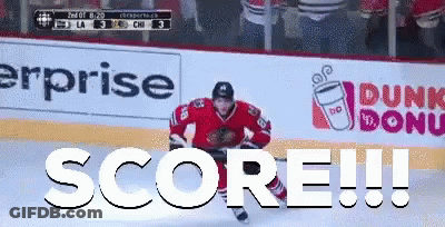 Blackhawks Chicago GIF