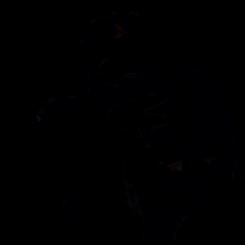 Blackpink Kpop GIF