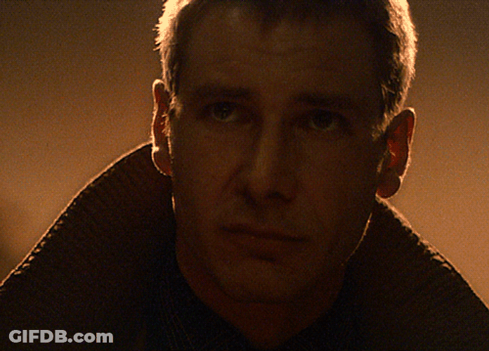 Blade Runner Rick Deckard GIF