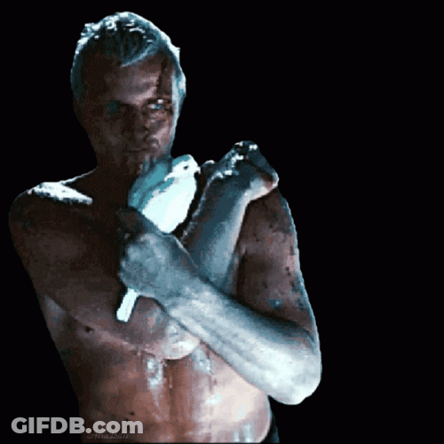Blade Runner Roy Batty White Dove GIF