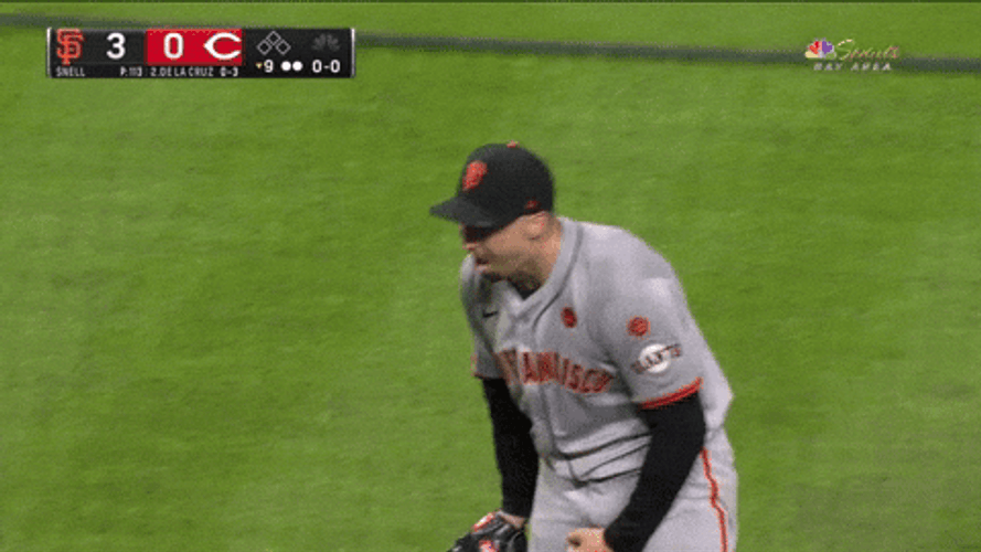 Blake Snell Body Bump GIF