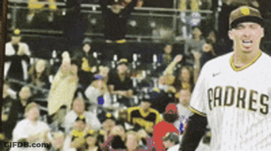 Blake Snell Screaming Walk Off GIF