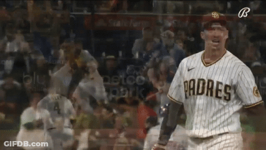 Blake Snell Walk Off GIF