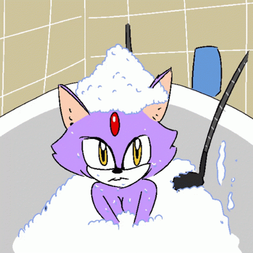 Blaze The Cat In Bath GIF