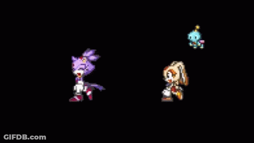Blaze The Cat Meets Cream GIF
