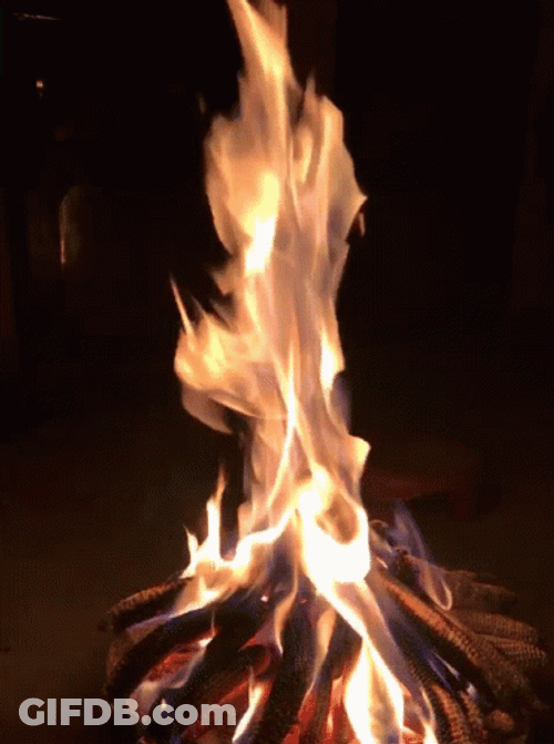 Blazing Night Warm Campfire GIF
