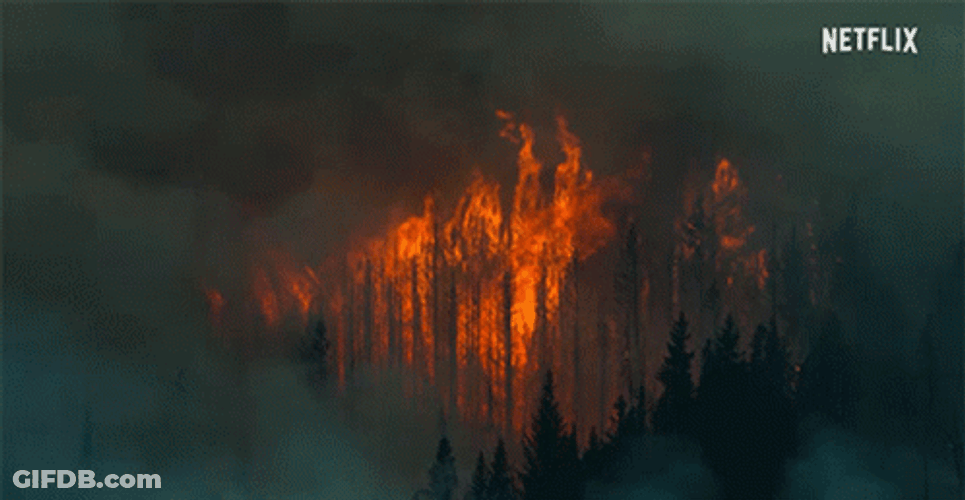 Blazing Wildfire Visible In Hazy Forest. GIF