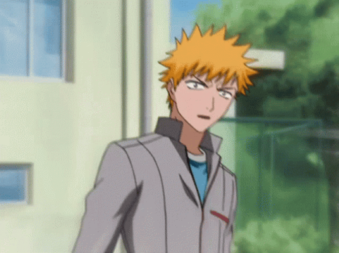 Bleach Anime Ichigo And Rukia GIF