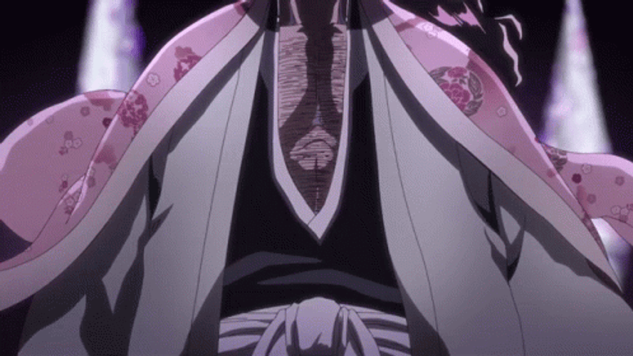 Bleach Shinagami Shunsui Kyōraku GIF