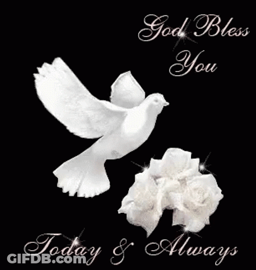 Bless You GIF