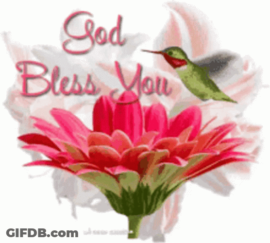 Bless You GIF
